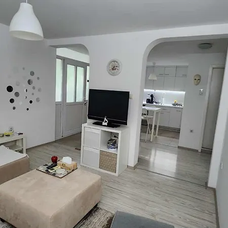 Cosy And Spacious Family In